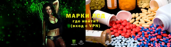 мяу мяу мука Алексин