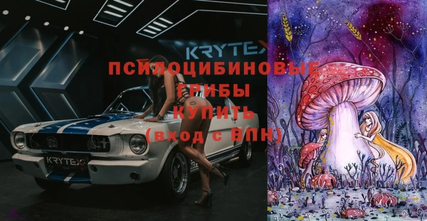 прущая мука Алзамай