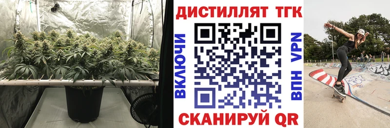 ТГК Wax hydra Починок