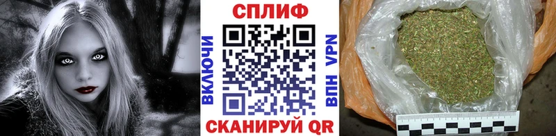 Бошки Шишки гибрид  Починок 